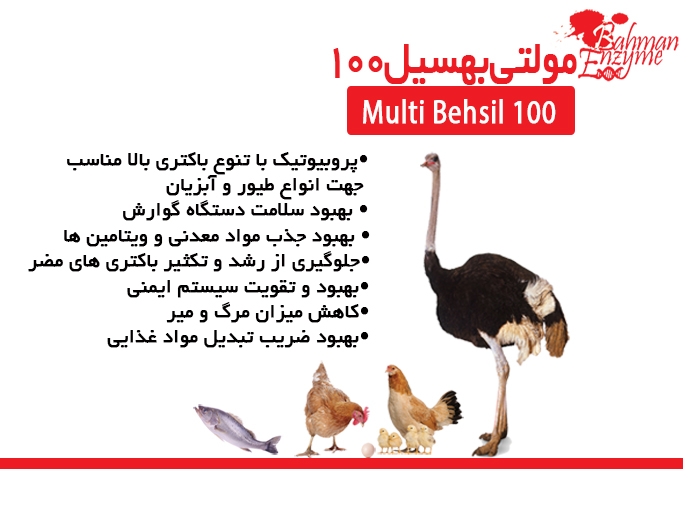 multi behsil-product slideshow